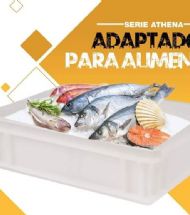 Ver articulo